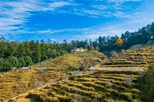 Uttarakhand Taxi Service