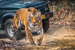 Uttarakhand Taxi Service