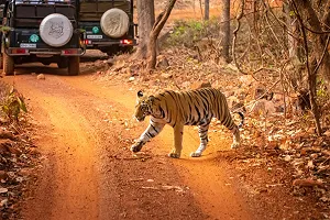 Uttarakhand Taxi Service