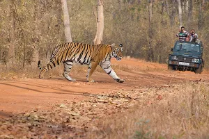 Uttarakhand Taxi Service