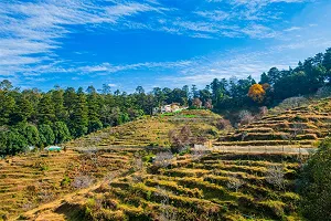Uttarakhand Taxi Service
